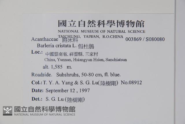 假杜鵑藏品圖，第2張