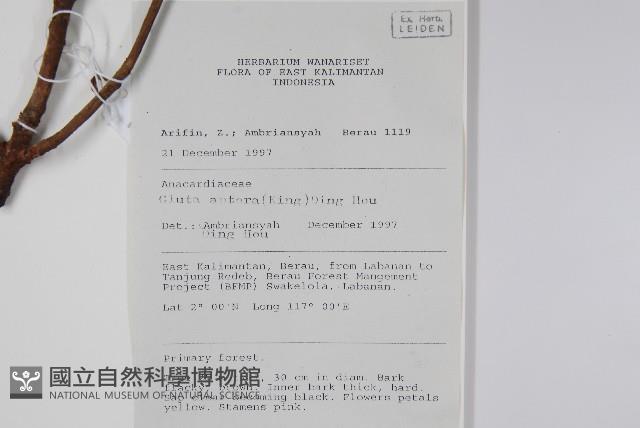 登錄號:S058780藏品圖，第2張