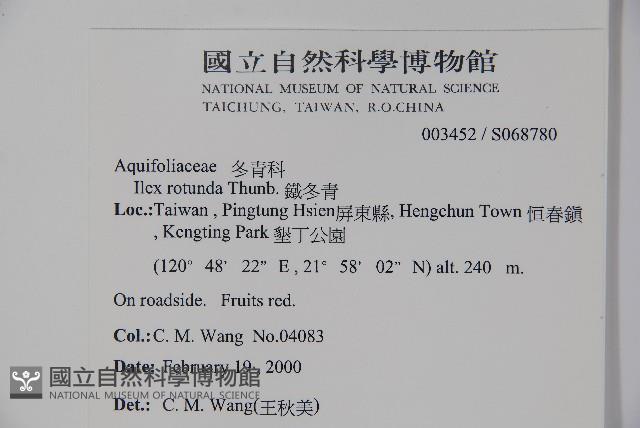 鐵冬青藏品圖，第2張