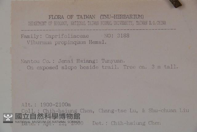 高山莢迷藏品圖，第2張