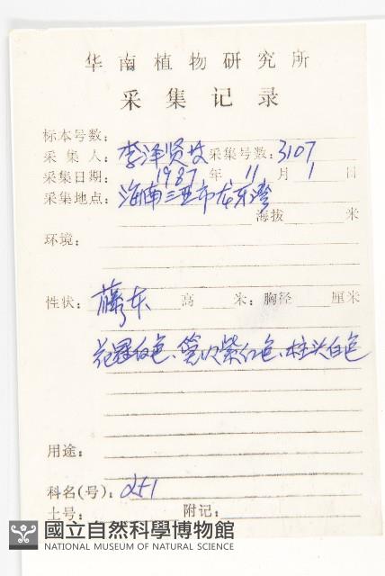 圓萼牽牛藏品圖，第2張