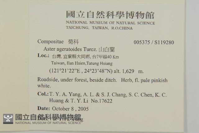 山白蘭藏品圖，第2張