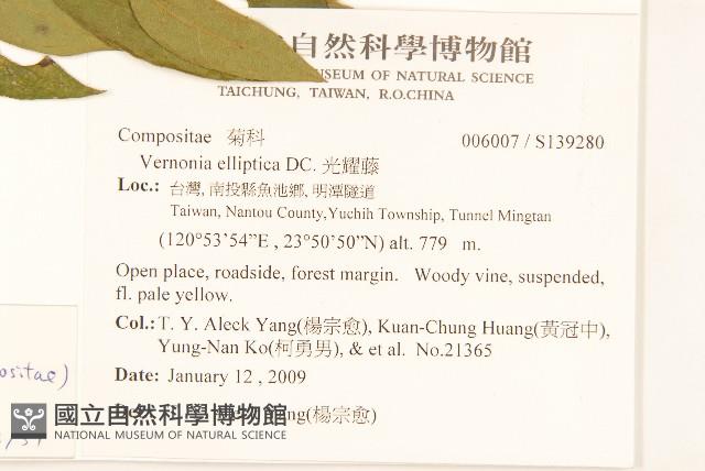 過山龍藏品圖，第2張