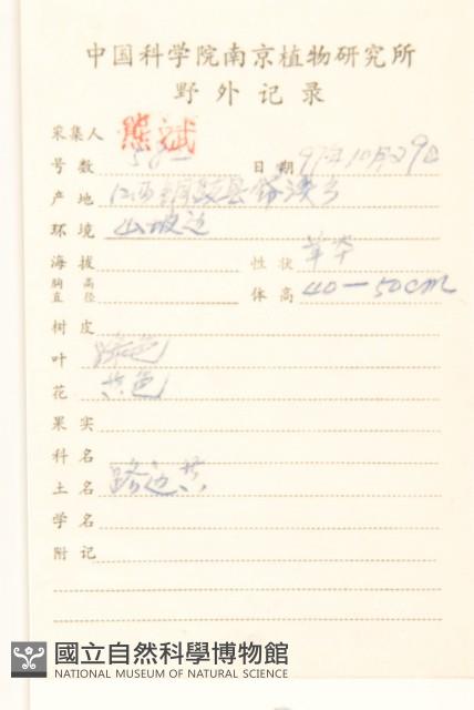 一枝黃花藏品圖，第2張