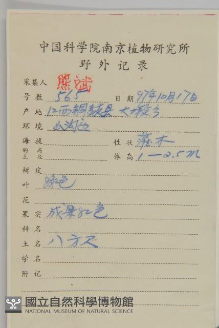 衛矛藏品圖，第2張