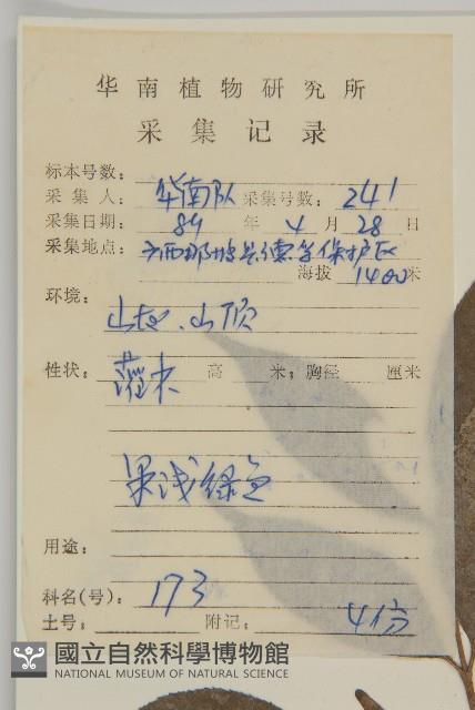 大丁黃藏品圖，第2張