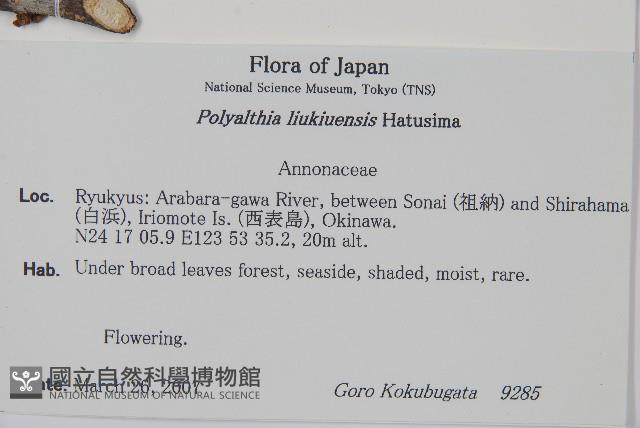 琉球暗羅藏品圖，第2張