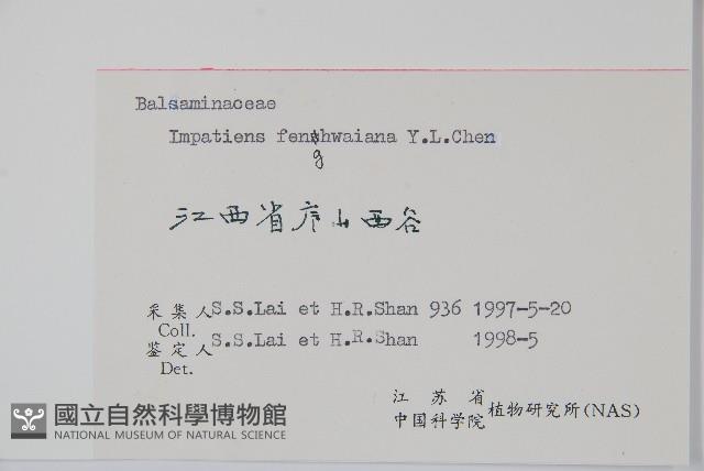 登錄號:S058180藏品圖，第2張