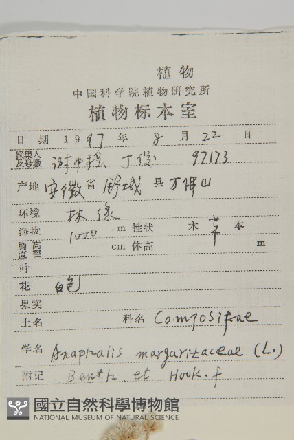 抱莖籟簫藏品圖，第2張