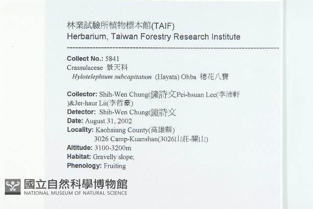 穗花八寶藏品圖，第2張