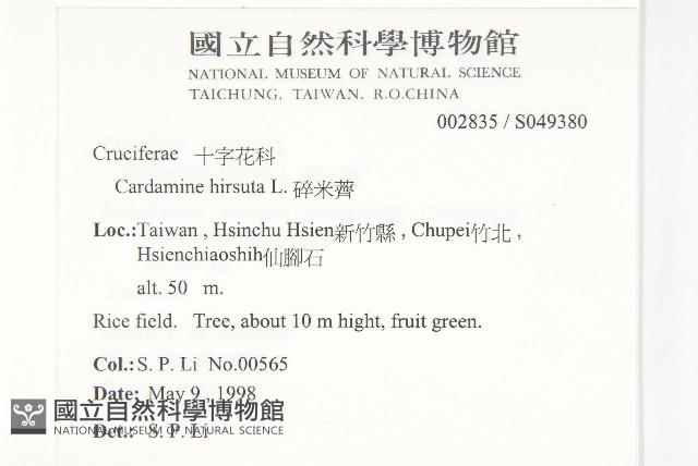 碎米薺藏品圖，第2張