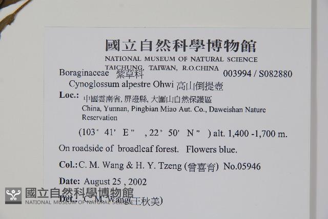 高山倒提壺藏品圖，第2張