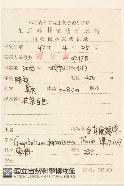 父子草、天青地白藏品圖，第2張