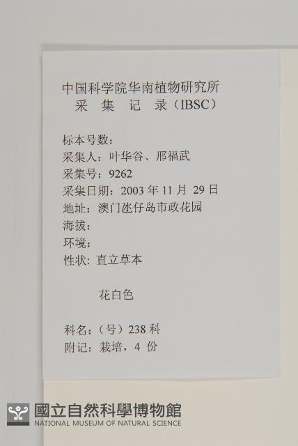 菊花藏品圖，第2張