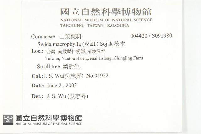 梜木藏品圖，第2張