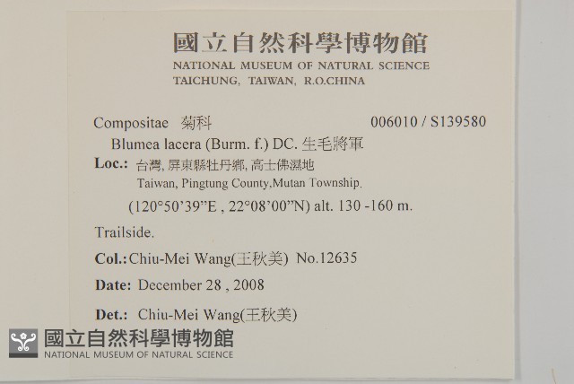 生毛將軍藏品圖，第2張
