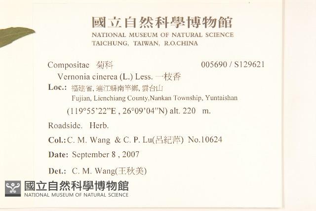 一枝香藏品圖，第2張