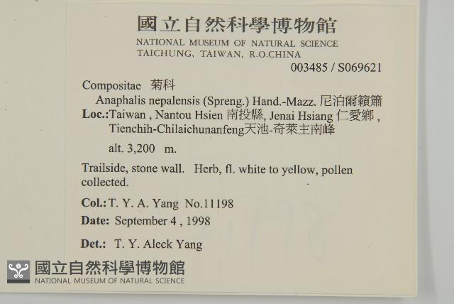 尼泊爾籟簫藏品圖，第5張