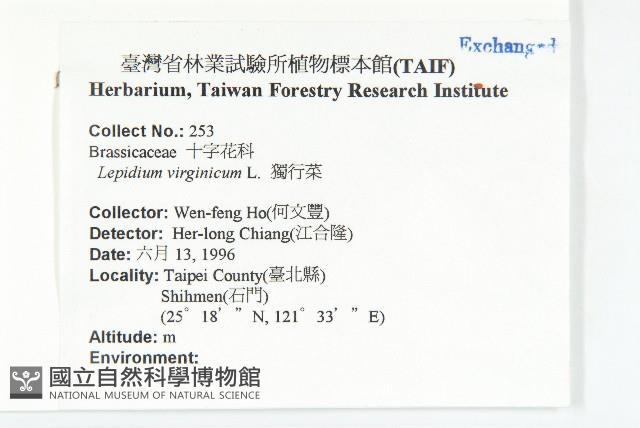 獨行菜藏品圖，第2張