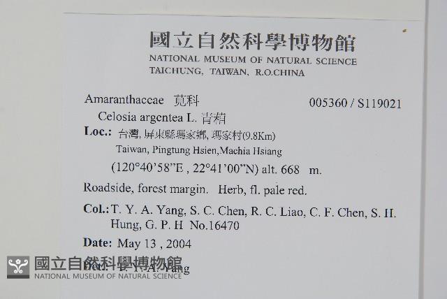 青葙藏品圖，第2張