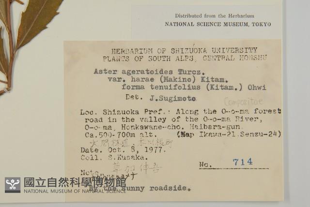 登錄號:S049021藏品圖，第2張