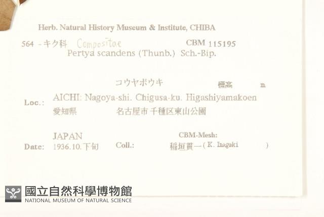 登錄號:S108021藏品圖，第2張