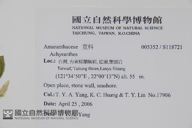 登錄號:S118721藏品圖，第2張