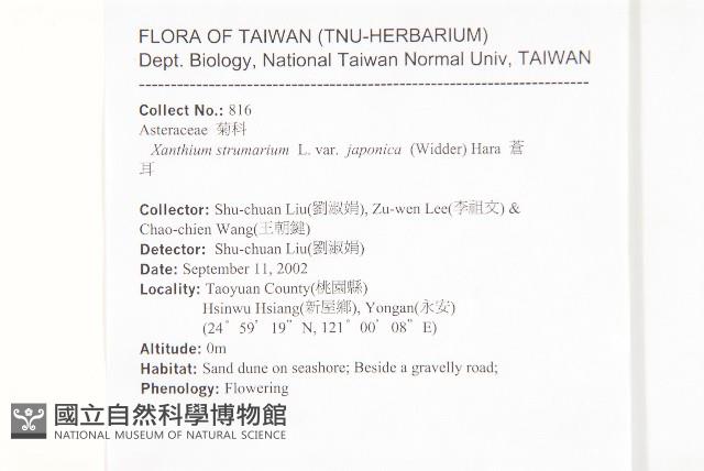 蒼耳藏品圖，第2張