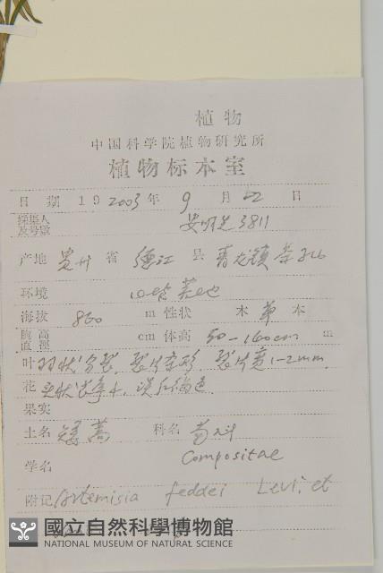 小艾藏品圖，第2張