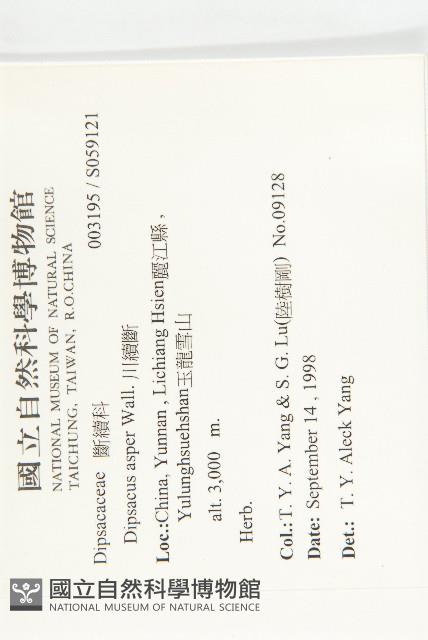 川續斷藏品圖，第2張