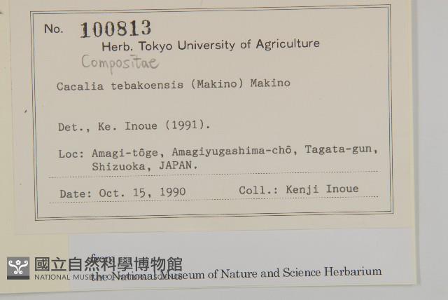 登錄號:S128121藏品圖，第2張