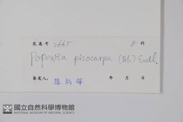 嘉陵花藏品圖，第2張