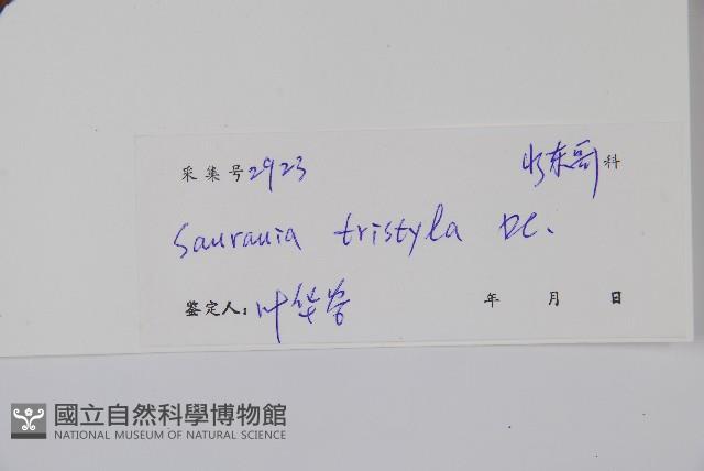 水東哥藏品圖，第2張