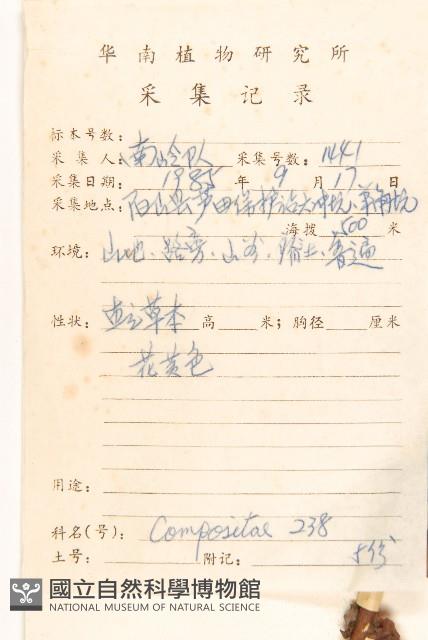 苦實菜藏品圖，第2張