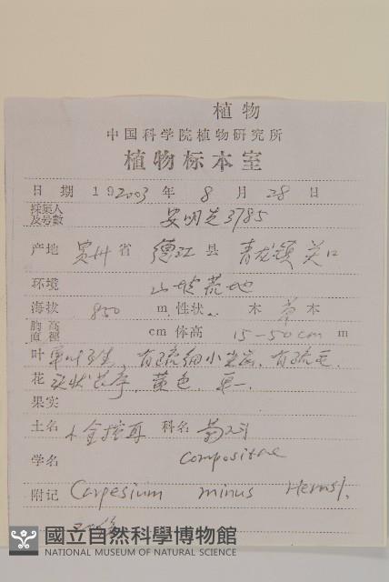 細川氏天名精藏品圖，第2張