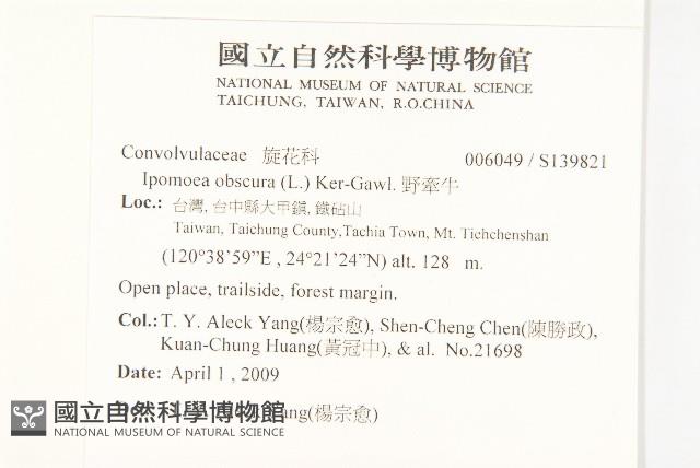 野牽牛藏品圖，第2張