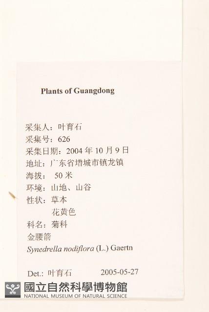 金腰箭藏品圖，第2張