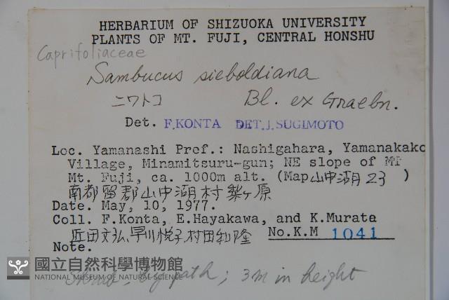 登錄號:S048821藏品圖，第2張