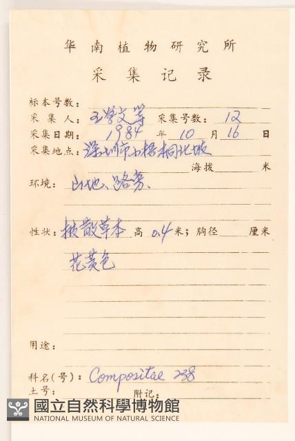 苦實菜藏品圖，第2張