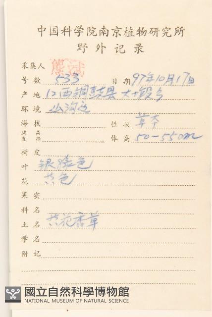 Cudweed Collection Image, Figure 2, Total 3 Figures