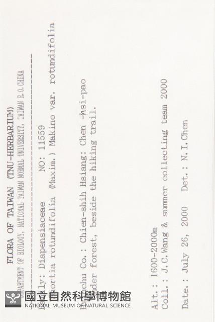 倒卵葉裂緣花藏品圖，第2張