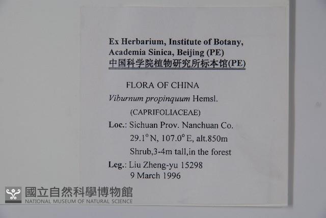 高山莢迷藏品圖，第2張