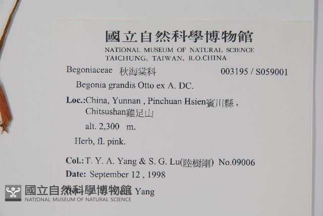 登錄號:S059001藏品圖，第2張