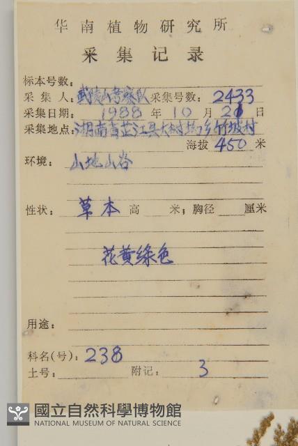 茵蔯蒿藏品圖，第2張