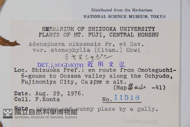 登錄號:S049001藏品圖，第2張