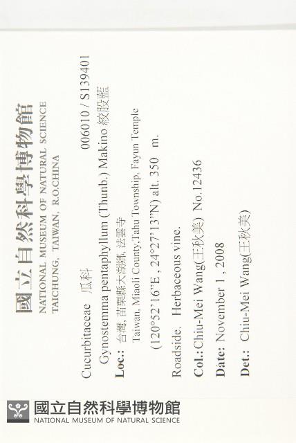 絞股藍藏品圖，第2張