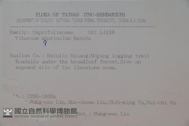 著生珊瑚樹藏品圖，第2張