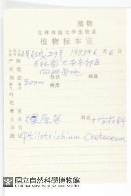 燥原薺藏品圖，第2張