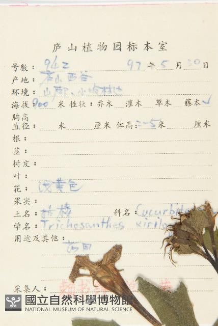 括樓藏品圖，第2張