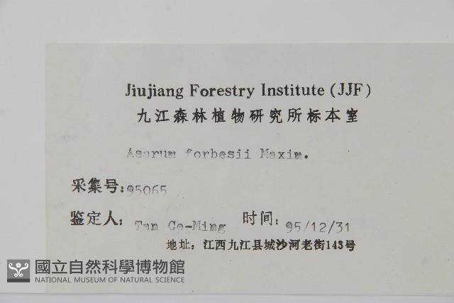 杜衡藏品圖，第2張